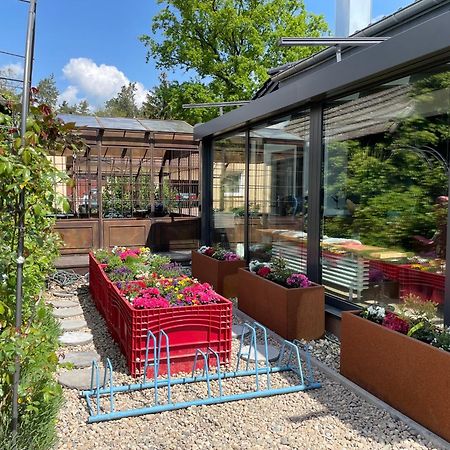 Spreewaldhaus Widwan Villa Lübbenau Kültér fotó